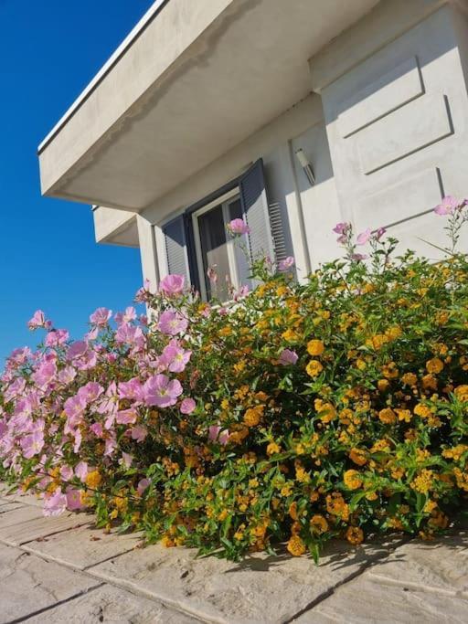 Gramp House Casa Vacanze 첼로레 외부 사진