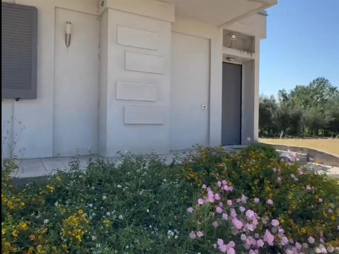 Gramp House Casa Vacanze 첼로레 외부 사진